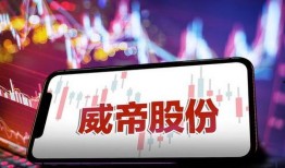 威帝尔最新爆料,揭秘科技巨头背后惊人内幕