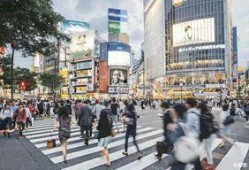 阳江楼盘爆料最新消息,最新楼盘爆料，揭秘热门项目详情