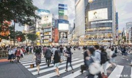 阳江楼盘爆料最新消息,最新楼盘爆料，揭秘热门项目详情