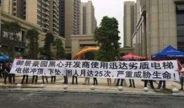 阳江楼盘爆料最新消息,最新楼盘爆料，揭秘热门项目详情