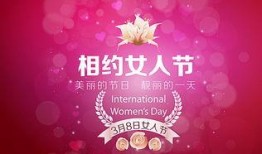 三八妇女节最新爆料,最新热点事件与庆祝活动盘点