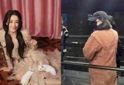 狗仔爆料怀孕最新,明星夫妇喜得贵子，甜蜜孕期曝光