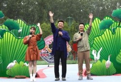 北京徒弟爆料新闻最新视频,揭秘视频背后的惊人真相