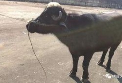 牛不啦的最新爆料,揭秘娱乐圈最新热点事件