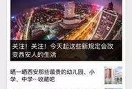 西安一中爆料新闻事件最新,校园事件引发社会关注，真相即将揭晓